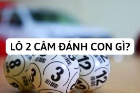 Đầu 2 câm. Kinh nghiệm đánh lô đầu 2 câm chính xác nhất.