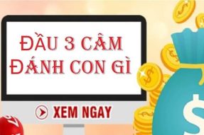 Đầu 3 câm đánh con gì, số nào chuẩn xác và dễ trúng nhất?