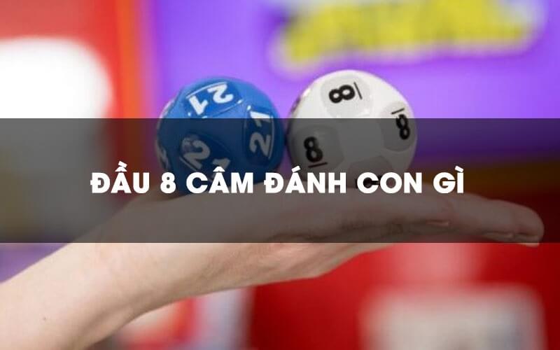 Đầu 8 câm đánh con gì? Kinh nghiệm đánh lô đầu 8 câm bất bại