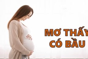 Giải mã giấc mơ có bầu mang ý nghĩa gì? Đánh con gì dễ trúng