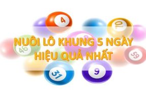 Cách bắt cầu bạch thủ lô khung 5 ngày bất khả chiến bại