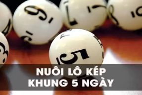 Bạch thủ lô kép khung 5 ngày bất bại, chính xác