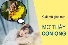 Nằm mơ thấy ong đánh con gì để nhận được may mắn?