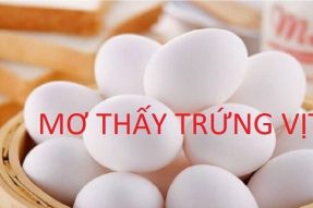 Nằm mơ thấy trứng vịt đánh con gì để rước lộc về nhà?