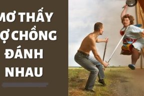 Nằm mơ thấy 2 vợ chồng đánh nhau, cãi nhau đánh đề con gì?