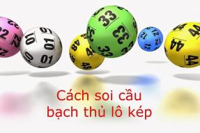 Soi cầu bạch thủ lô kép hôm nay miền Bắc siêu chuẩn