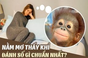 Nằm mơ thấy khỉ đánh số mấy để trúng lớn?