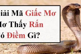 Nằm mơ thấy rắn là điềm gì? Đánh con gì dễ trúng số nhất?