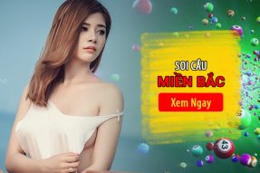 Dự đoán xổ số miền Bắc 17/01/2023 – Soi cầu, thống kê chuẩn xác