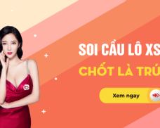 Dự đoán xổ số miền Bắc 21/11/2024 – Soi cầu, thống kê chuẩn xác