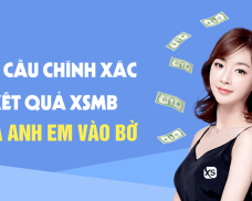 Dự đoán xổ số miền Bắc 20/11/2024 – Soi cầu, thống kê chuẩn xác