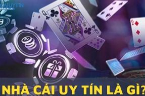 Nha Cai Uy Tin In – Top 5 Sân Chơi Cá Cược Đáng Tin Cậy