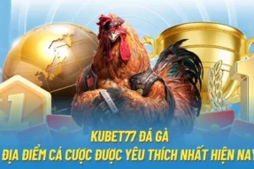 Trải nghiệm đá gà Kubet77 với đa dạng trận đấu