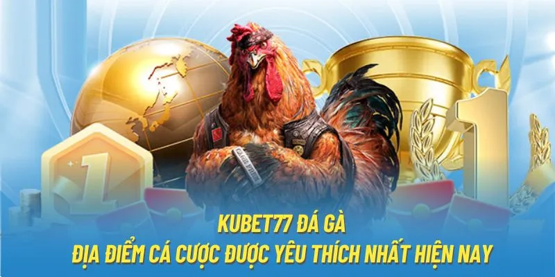 Trải nghiệm đỉnh cao với đá gà trực tuyến tại Kubet77