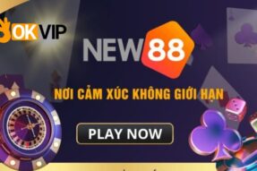 Đối tác New88 – Sân chơi cá cược hàng đầu cho anh em bet thủ